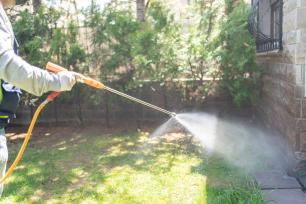 Lawn Pest Control in Greenup, KY